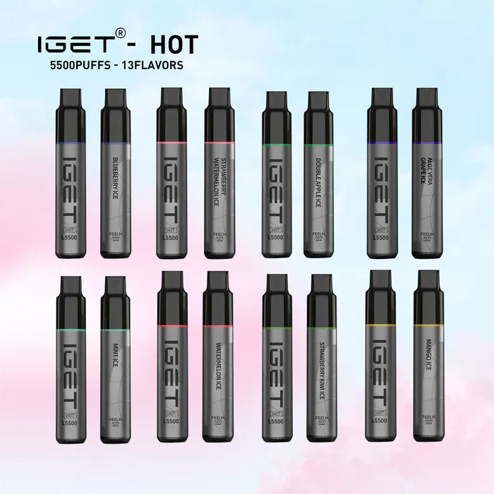 IGET HOT 10 PCS 1 vape wholesale