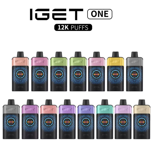 IGET ONE Wholesale - 12000 Puffs 1 vape wholesale