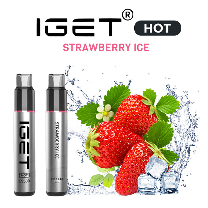 IGET HOT Vape Disposable Wholesale - 5500 Puffs 1 vape wholesale