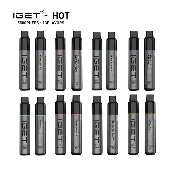 IGET HOT Vape Disposable Wholesale - 5500 Puffs 1 vape wholesale