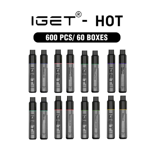 IGET HOT 600 Pcs / 60 Boxes Wholesale 1 vape wholesale